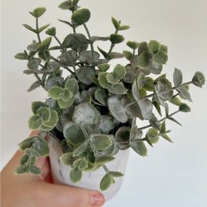 Faux plant eucalyptus in concrete planter